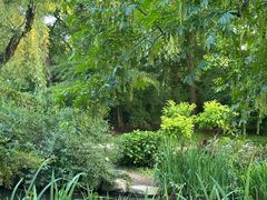 -上海共青森林公园