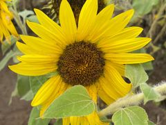 -汉长安城未央宫国家考古遗址公园