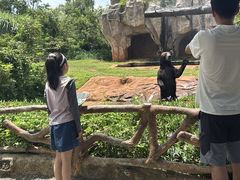 -海南热带野生动植物园