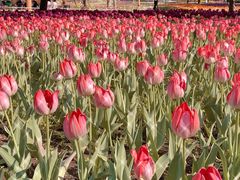 -长春公园(普阳街道)