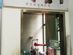 -利又安动物医院··老年病·猫科犬科·中兽医