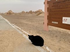 -敦煌雅丹国家地质公园