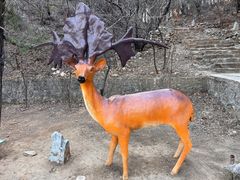 -周口店北京人遗址公园