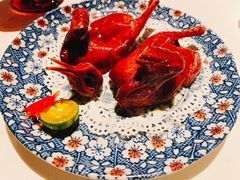 乳鸽-三号黄浦会Canton Table