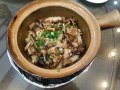 -红星光发煲仔饭(文海店)