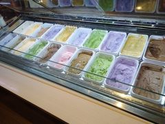 -OPEN開全日自助餐厅·牛肉火锅·海鲜(佛山希尔顿酒店)