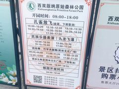 -西双版纳原始森林公园