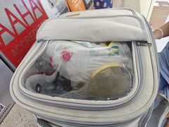 -谐和贝康宠物医院24小时·宠保定点(急重症转诊中心)