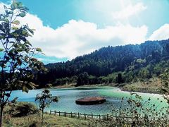 -武陵山森林公园