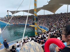 -秦皇岛乐岛海洋王国