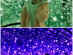 -大塘金香草谷