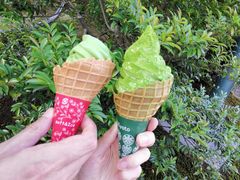 抹茶甜筒-豆政(金閣寺境内売店)