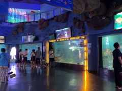 -烟台海昌鲸鲨海洋公园