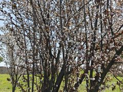 -广富林郊野公园