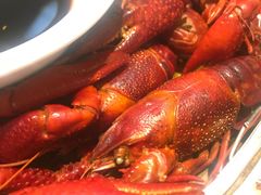 -怪怪龙虾·澳洲蓝龙王·深夜食堂(惊驾路店)