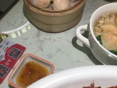 -南枝记