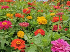 -永定河休闲森林公园