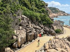 -广东惠东海龟国家级自然保护区