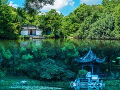 -深圳国际园林花卉博览园