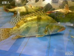 -友鹏海鲜(新宜白大道店)