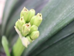 -三圣花乡旅游区