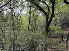 -虞山风景区