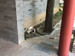 -封龙山风景区