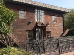 -金山农民画村-枫泾波兰倒置屋