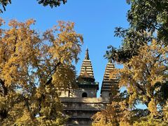 -北京石刻艺术博物馆(五塔寺)