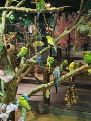 -酷嗒动物文化乐园(cutezoo西溪乐天城店)