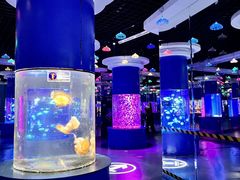 -重庆欢乐海底世界
