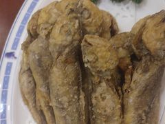 -老雒阳面馆·水席(洛宁高速路口店)