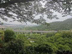 -大屏嶂森林公园