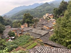 -杨家堂村