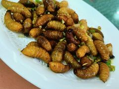 -天强农家菜馆