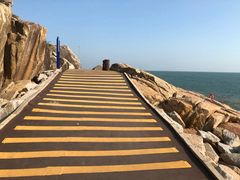-广东惠东海龟国家级自然保护区