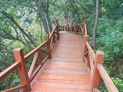 -大岭沟猕猴桃谷风景区