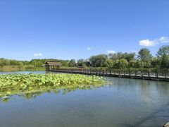 -溱湖国家湿地公园