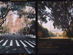 -浙江大学(玉泉校区)