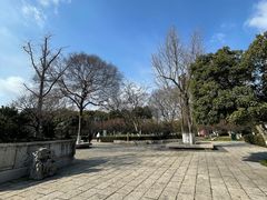 -红梅公园