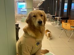 -怪兽屋·羊驼·猫咖·狗咖(俊华广场店)