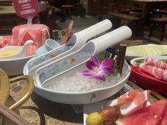 -小龙坎火锅(麻城文化小镇店)