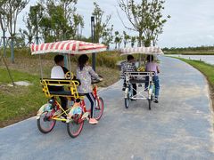-春花秋色城市公园