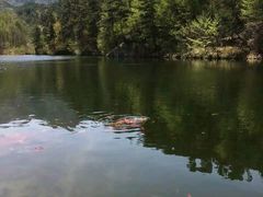 -昆嵛山石门里景区