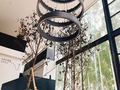 -桉树林A coffee 森林餐厅(三圣乡店)