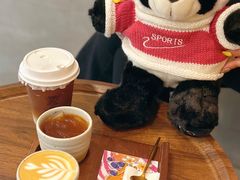 -Again Coffee Roaster(香蜜湖店)