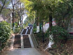 -白沙古井