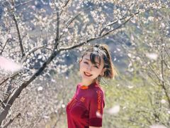 -北京凤凰岭