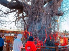 -大槐树寻根祭祖园
