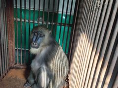 -石家庄市动物园